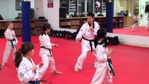 Things You Should Know If You Are Beginners For Taekwondo Classes